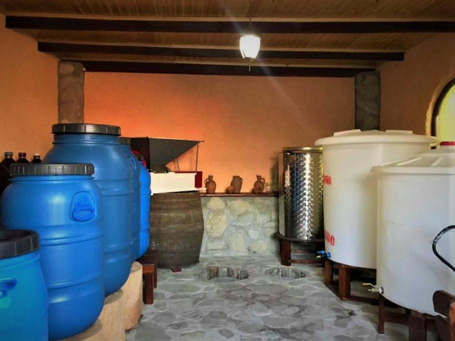 Guesthouse Lilia &Wine Celler Telavi Kültér fotó